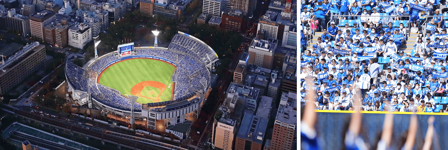 プロ野球参入
